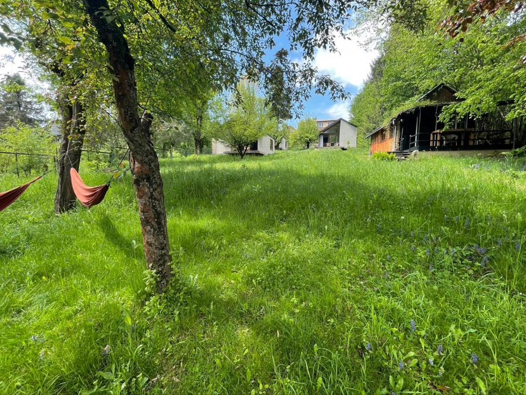 Letnisko Campingplasser